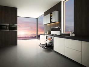 廚衛新寵集成灶 究竟有何魅力，趕緊先睹為快